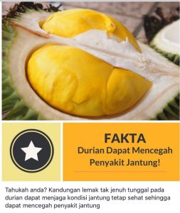 Manfaat makan durian untuk kesehatan tubuh manusia