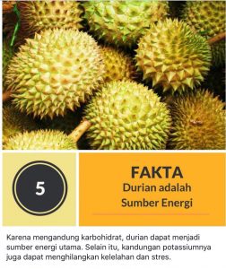 Manfaat makan durian untuk kesehatan tubuh manusia